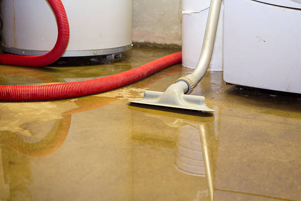 Best Water damage restoration cost  in USA